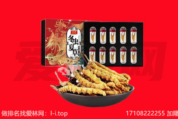 龙安区回收虫草.jpg